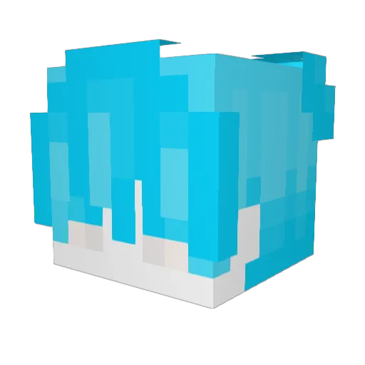 ItsToxicDoggo Minecraft avatar head, 3D render
