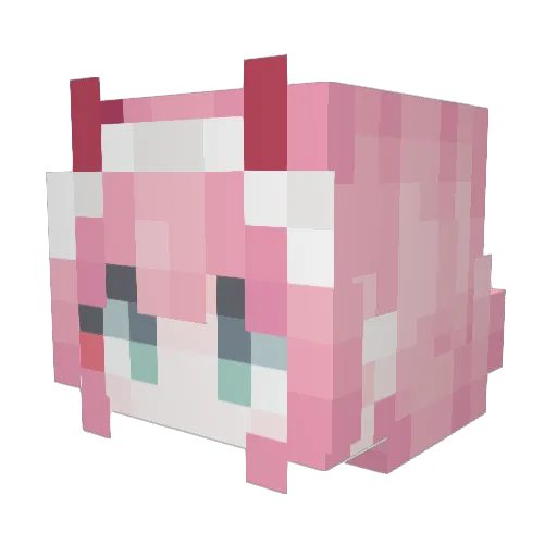 ItsTropiiX Minecraft avatar head, 3D render