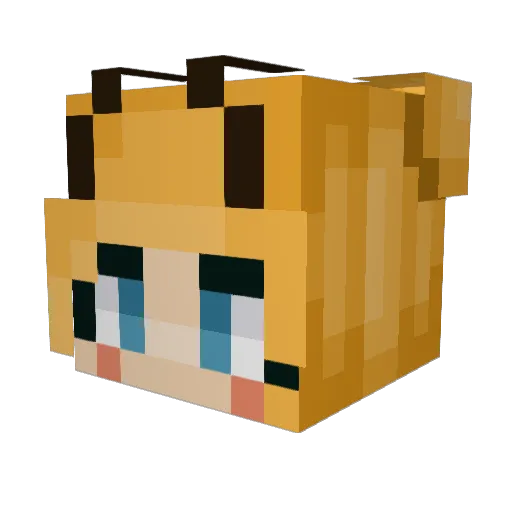 ItsTumbleBee Minecraft avatar head, 3D render