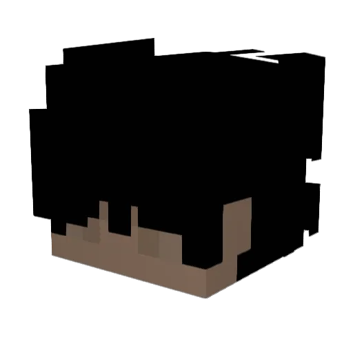ItsTwoGame Minecraft avatar head, 3D render