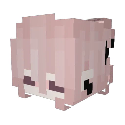 ItsVixen_ Minecraft avatar head, 3D render