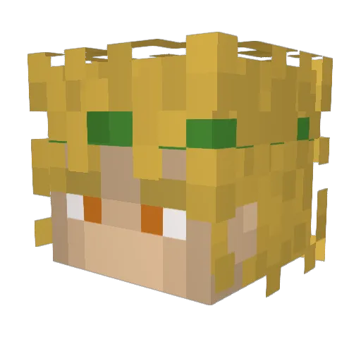 ItsWailord Minecraft avatar head, 3D render