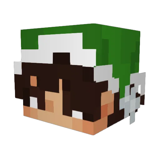 ItsWasted Minecraft avatar head, 3D render