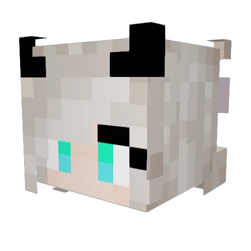 ItsWolfKid Minecraft avatar head, 3D render