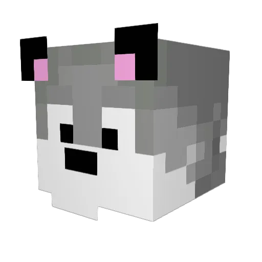 ItsWolfo Minecraft avatar head, 3D render