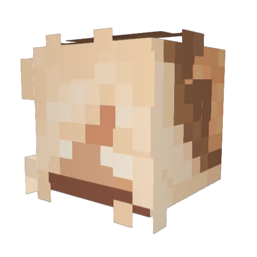 ItsYaBoiDez Minecraft avatar head, 3D render
