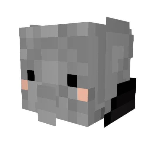 ItsYourMateLumpy Minecraft avatar head, 3D render