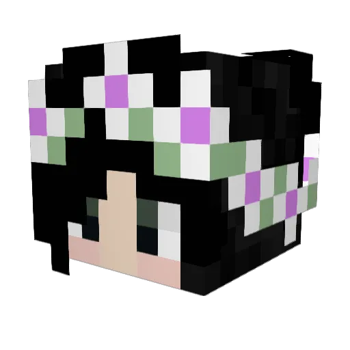 Its_Anti_A_ Minecraft avatar head, 3D render