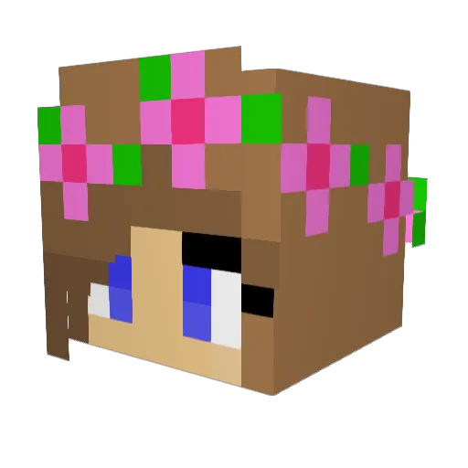 Its_Ari Minecraft avatar head, 3D render