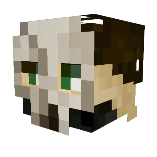 Its_Blaidd Minecraft avatar head, 3D render