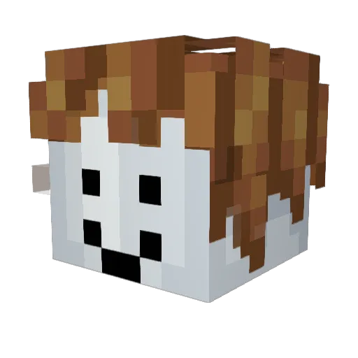 Its_Brandon Minecraft avatar head, 3D render