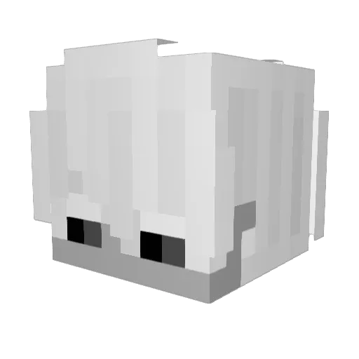 Its_Buck Minecraft avatar head, 3D render