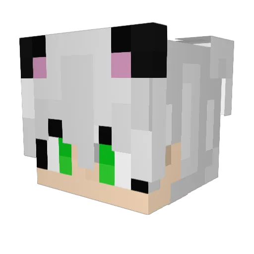 Its_Canidae Minecraft avatar head, 3D render