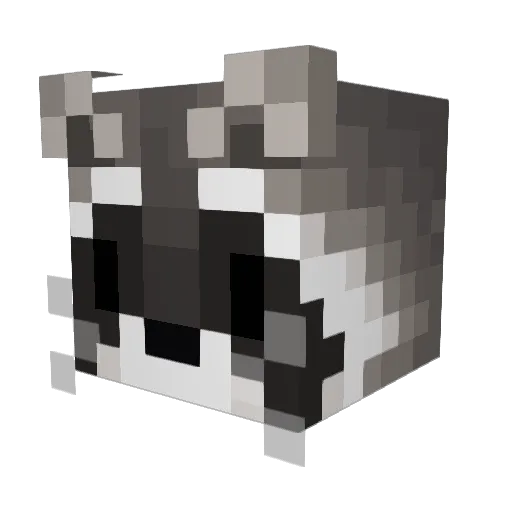 Its_Chris3813 Minecraft avatar head, 3D render
