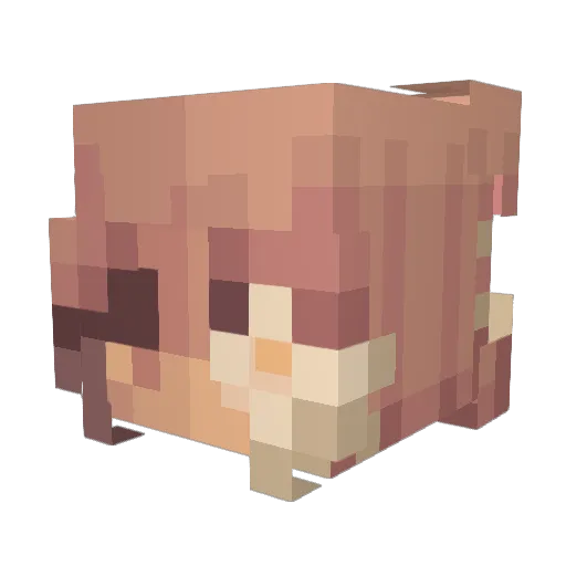 Its_Claire1101 Minecraft avatar head, 3D render