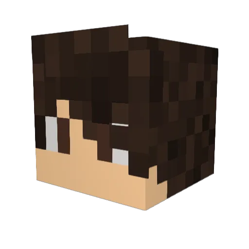 Its_Confused Minecraft avatar head, 3D render