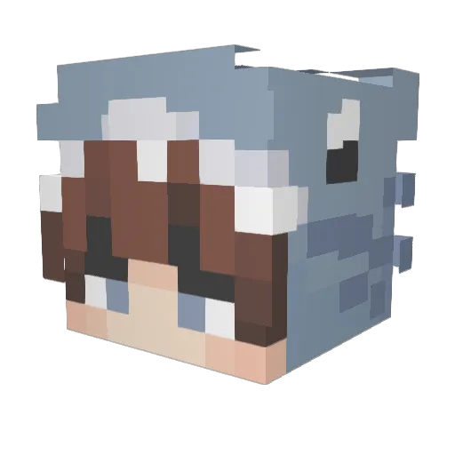 Its_CrazyShark Minecraft avatar head, 3D render