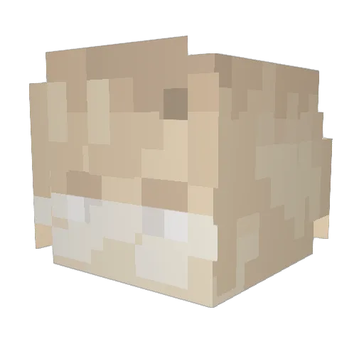 Its_Hikari Minecraft avatar head, 3D render
