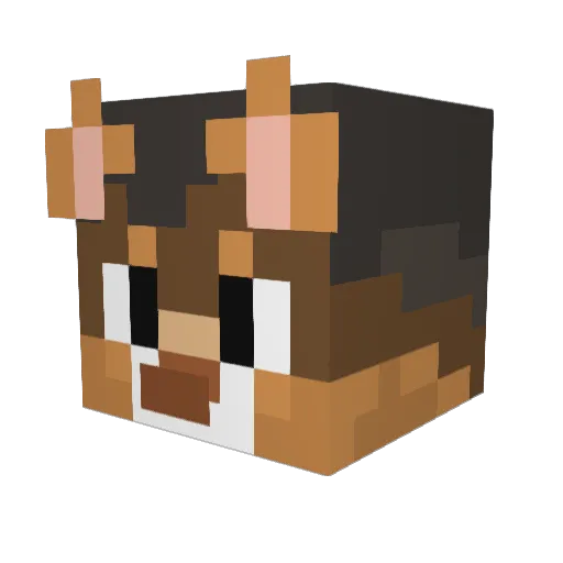 Its_Juca Minecraft avatar head, 3D render