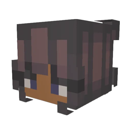 Its_Korra Minecraft avatar head, 3D render
