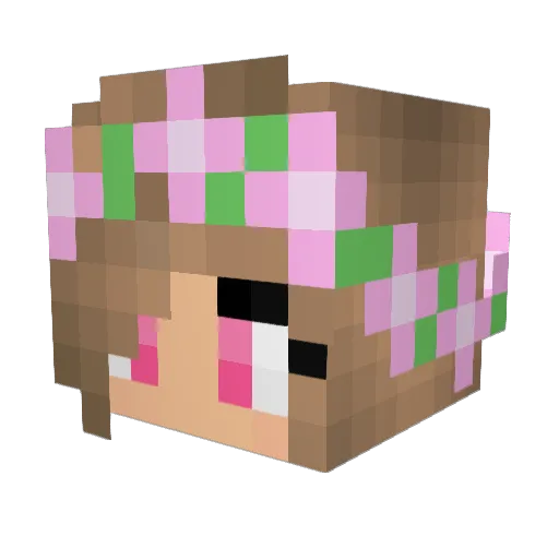 Its_Not_Lucas Minecraft avatar head, 3D render