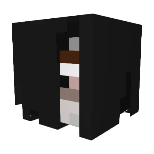 Its_Round_Its Minecraft avatar head, 3D render