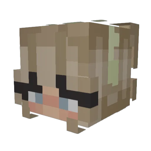 Its_Sage_ Minecraft avatar head, 3D render