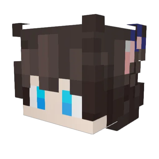 Its_auqa_b Minecraft avatar head, 3D render