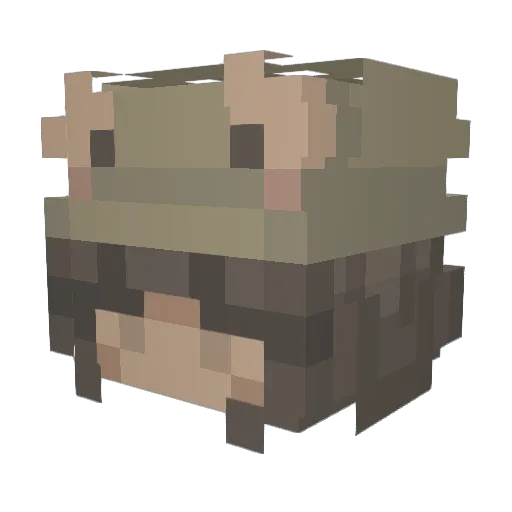 Its_da_froggy Minecraft avatar head, 3D render