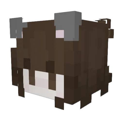 ItsaGoosee Minecraft avatar head, 3D render
