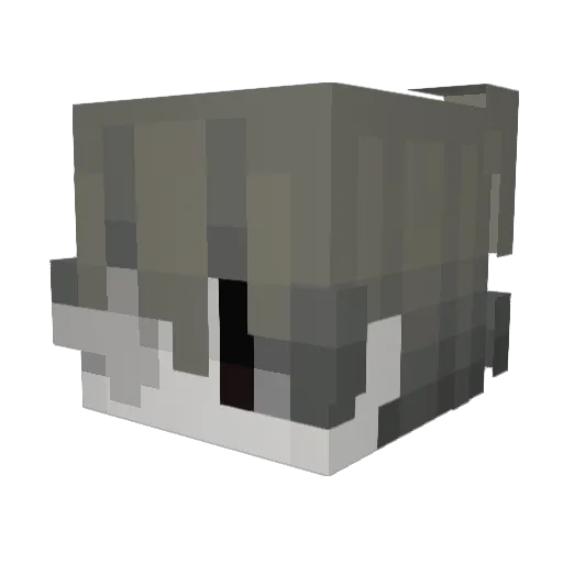 Itschimax0 Minecraft avatar head, 3D render