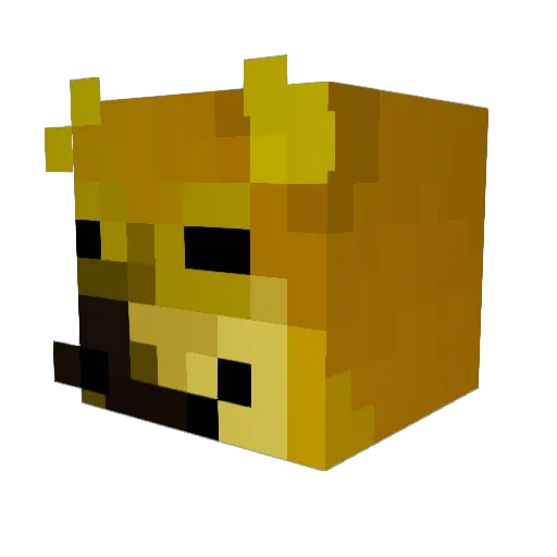 Itscrazydoog Minecraft avatar head, 3D render