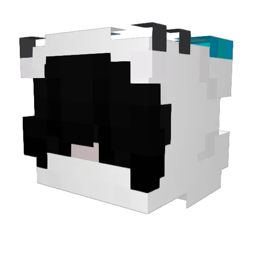 ItsmeRaftMC2019 Minecraft avatar head, 3D render