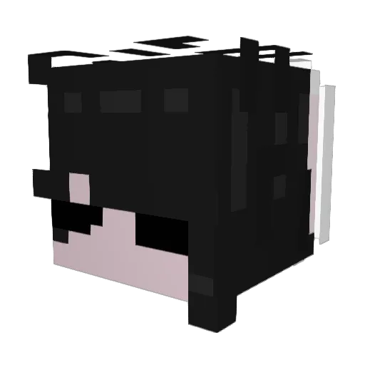 Itsonlyshim Minecraft avatar head, 3D render