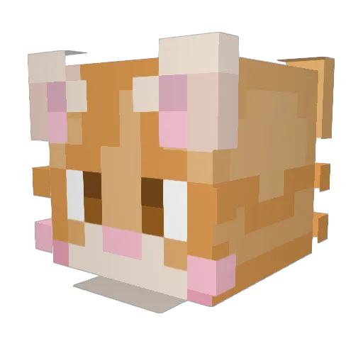 Itsronnie99 Minecraft avatar head, 3D render