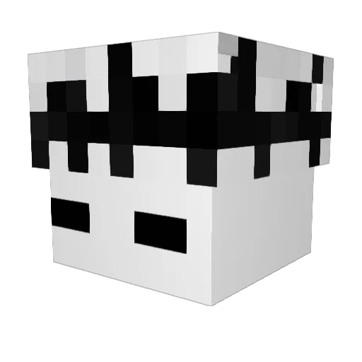 IttsBlits Minecraft avatar head, 3D render