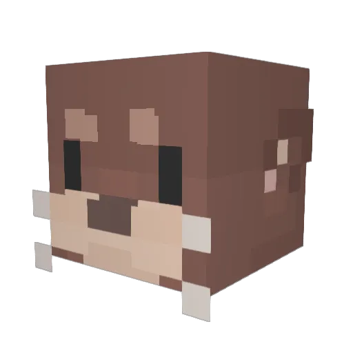 ItzAkia Minecraft avatar head, 3D render