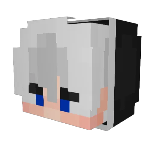 ItzAryaH Minecraft avatar head, 3D render
