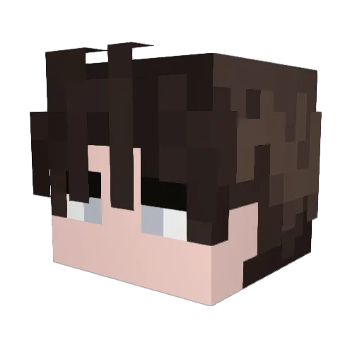 ItzElectronz Minecraft avatar head, 3D render