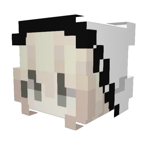 ItzEraly Minecraft avatar head, 3D render