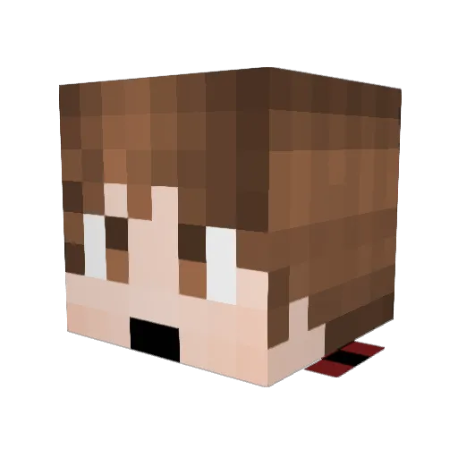 ItzJustRyan2 Minecraft avatar head, 3D render