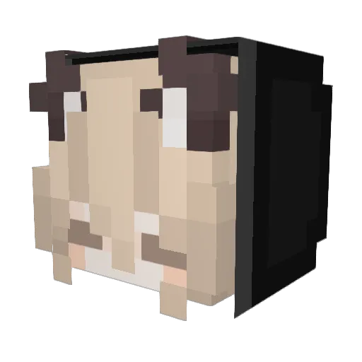 ItzKaylaa_ Minecraft avatar head, 3D render