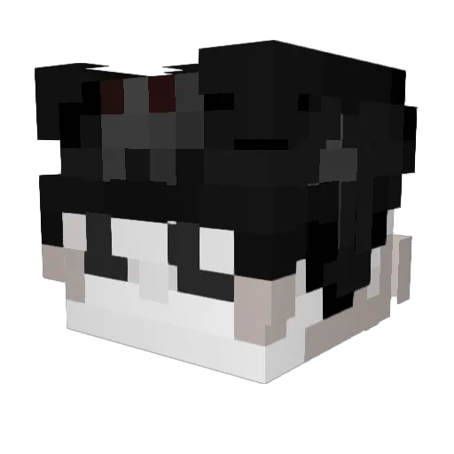 ItzLancer Minecraft avatar head, 3D render