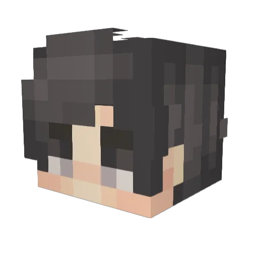 ItzLodgedd Minecraft avatar head, 3D render