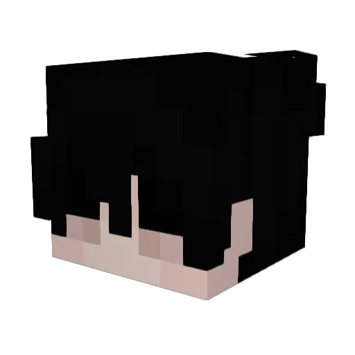 ItzMyTurnz Minecraft avatar head, 3D render