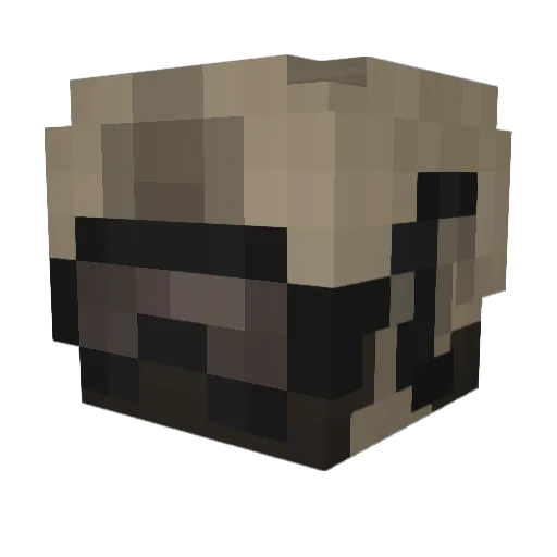 ItzNickyz Minecraft avatar head, 3D render