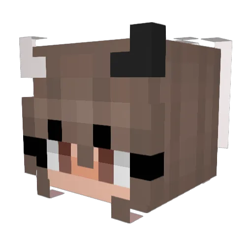 ItzNotShu Minecraft avatar head, 3D render