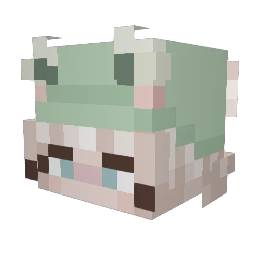 ItzNot_Scar Minecraft avatar head, 3D render