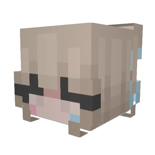 ItzPanther_ Minecraft avatar head, 3D render