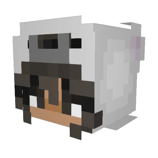 ItzPrincess2355 Minecraft avatar head, 3D render